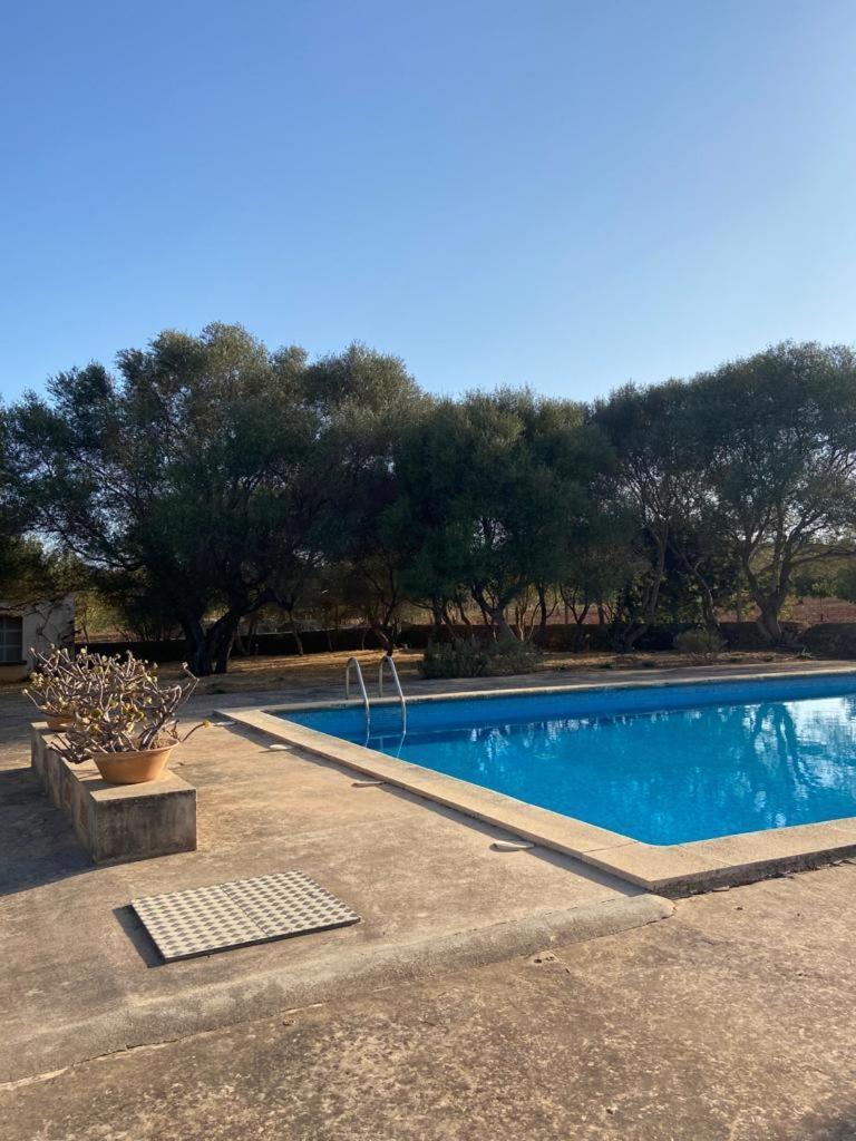 Sa Nau Agroturismo - Adults Only Over 16 Пуэрто-Колом Экстерьер фото